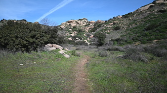 Enlarge photo 37