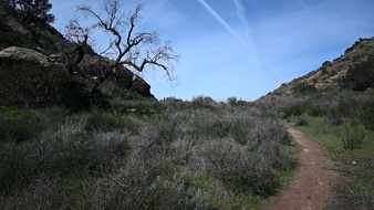 Enlarge photo 38