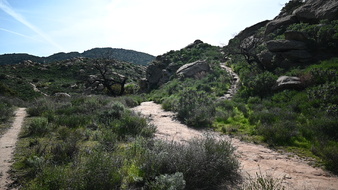 Enlarge photo 39
