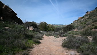 Enlarge photo 40