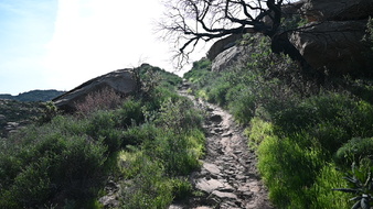Enlarge photo 41