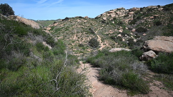 Enlarge photo 42
