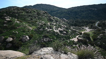 Enlarge photo 43
