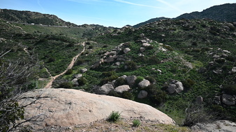 Enlarge photo 44