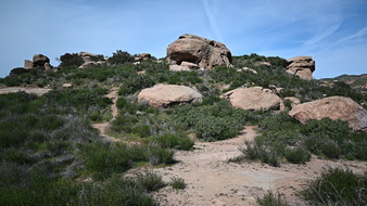 Enlarge photo 45