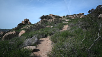 Enlarge photo 46
