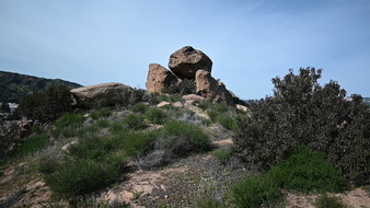 Enlarge photo 48
