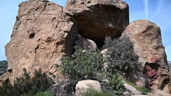 Enlarge photo 51