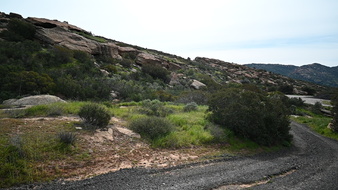 HILLS/ ROCKY PATH 