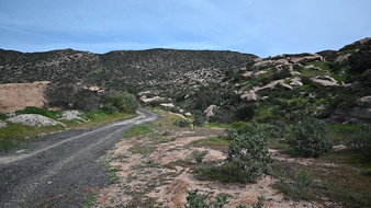 Enlarge photo 3