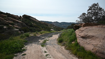 Enlarge photo 6