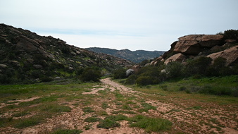 Enlarge photo 12