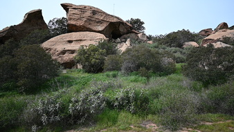Enlarge photo 15