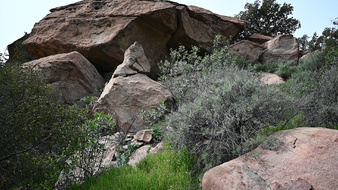 Enlarge photo 16