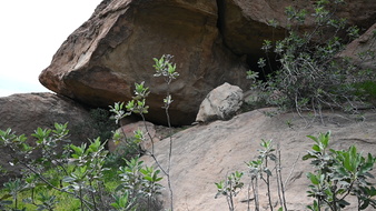 Enlarge photo 17