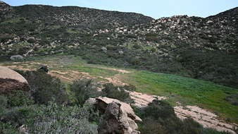 Enlarge photo 19