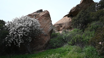 Enlarge photo 20