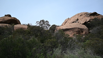 Enlarge photo 21