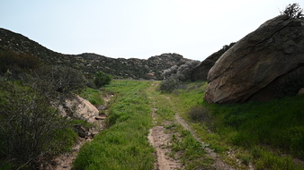 Enlarge photo 22
