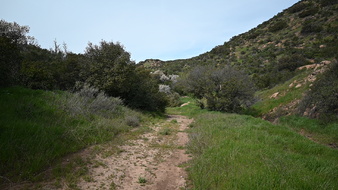 Enlarge photo 23