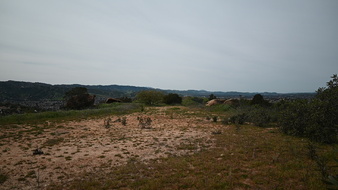 Enlarge photo 24
