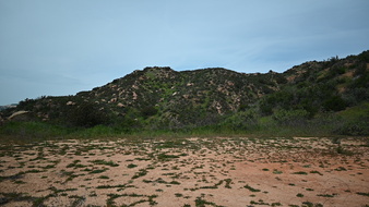 Enlarge photo 25