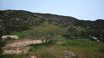 Enlarge photo 26