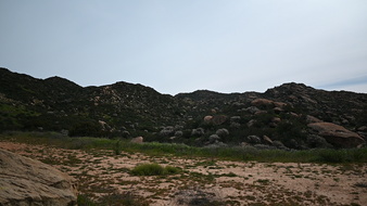 Enlarge photo 27