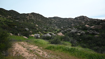 Enlarge photo 28