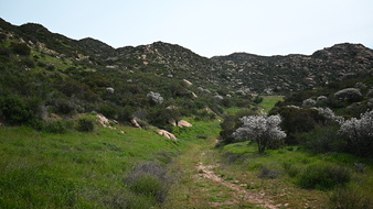 Enlarge photo 29