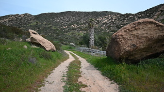Enlarge photo 30