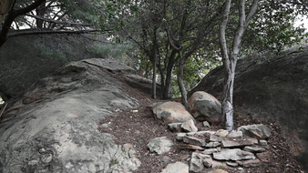 Enlarge photo 38