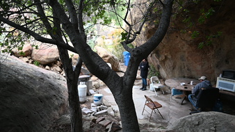 Enlarge photo 39