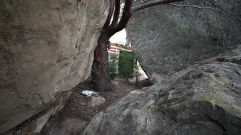 Enlarge photo 40
