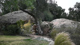 Enlarge photo 42
