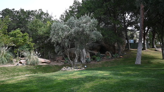 Enlarge photo 43