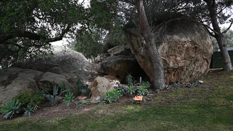 Enlarge photo 44