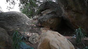 Enlarge photo 45