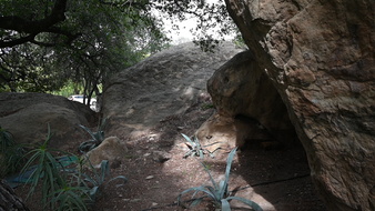 Enlarge photo 46