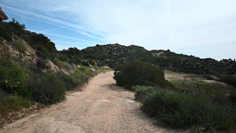 Enlarge photo 2