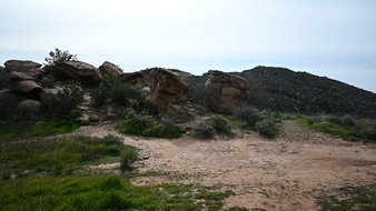 Enlarge photo 10
