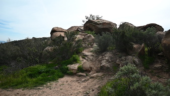 Enlarge photo 11