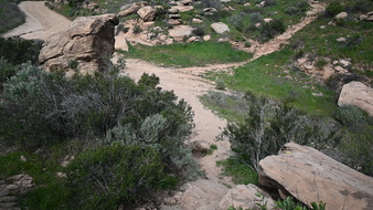 Enlarge photo 13