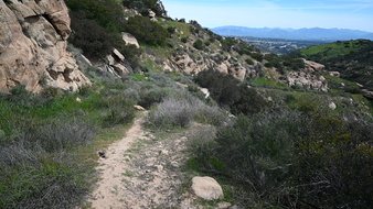 Enlarge photo 14