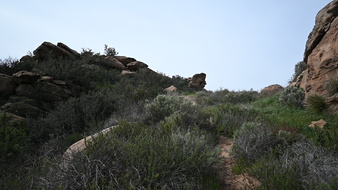 Enlarge photo 15
