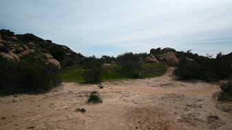 Enlarge photo 23