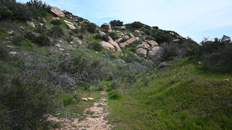 Enlarge photo 24