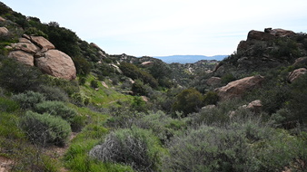 Enlarge photo 25