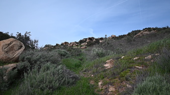 Enlarge photo 26