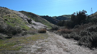 Enlarge photo 5